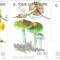 Sao Tome e Principe 1990 Mushrooms, used A.102