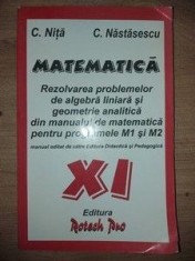 Matematica clasa a 11-a Rezolvarea problemelor de algebra liniara - C. Nita, C. Nastasescu