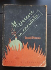 Minuni &amp;icirc;n eprubetă - Leonid Petrescu foto