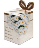 Greengifts Box Greengifts Margriet Kit Gradinarit