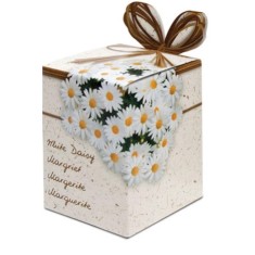 Greengifts Box Greengifts Margriet Kit Gradinarit