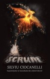 Scrum - Silviu Ciocanelli - Editura Școala Ardeleană