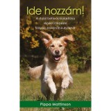 Ide hozz&aacute;m! - A stabil beh&iacute;v&aacute;s kialak&iacute;t&aacute;sa l&eacute;p&eacute;sről l&eacute;p&eacute;sre k&ouml;ly&ouml;k- &eacute;s felnőtt kuty&aacute;kn&aacute;l - Pippa Mattinson