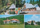 Carte postala Stana de Vale, Jud. Bihor, necirculata