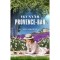 Egy ny&aacute;r Provence-ban - Lucy Coleman