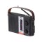 Radio portabil AM/FM/SW Bluetooth USB panou solar micro SD negru Trevi RA 7F25 BT