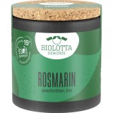 Rozmarin Tocat Eco 28 grame BioLotta