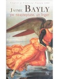Jaime Bayly - Pe neasteptate, un inger (Editia: 2007)