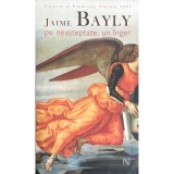 Jaime Bayly - Pe neasteptate, un inger (Editia: 2007)