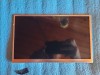 Display Tableta 10.1 inch FC101BF03-40, 40 pini, 1024x600