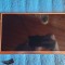display tableta - 10.1 inch - FC101BF03-40