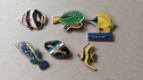 Lot 6 Insigne diferite -Peste/ Pesti-pinuri-1