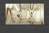 OMAN 2016 FAUNA ANIMALE ORYX