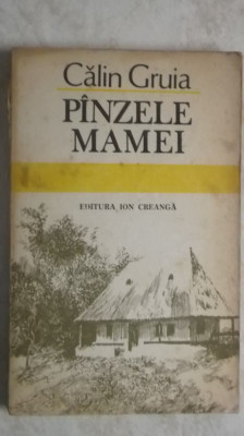 Calin Gruia - Pinzele / panzele mamei foto