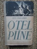 ION CALUGARU - OTEL SI PAINE