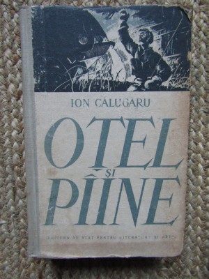 ION CALUGARU - OTEL SI PAINE foto
