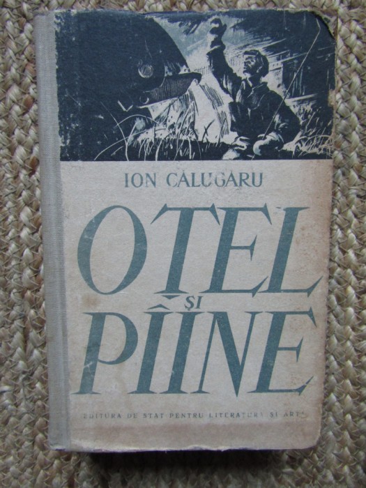 ION CALUGARU - OTEL SI PAINE