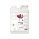 Diamex Sampon BIO-TECHNIC Doux Mild - 2 lt