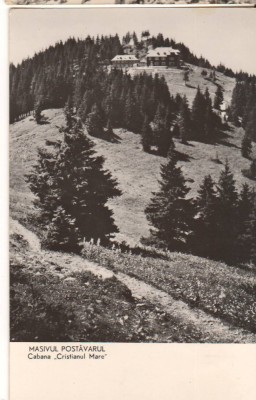 CPIB 22697 - CARTE POSTALA - MASIVUL POSTAVARUL. CABANA &amp;quot;CRISTIANUL MAREZ&amp;quot;, RPR foto