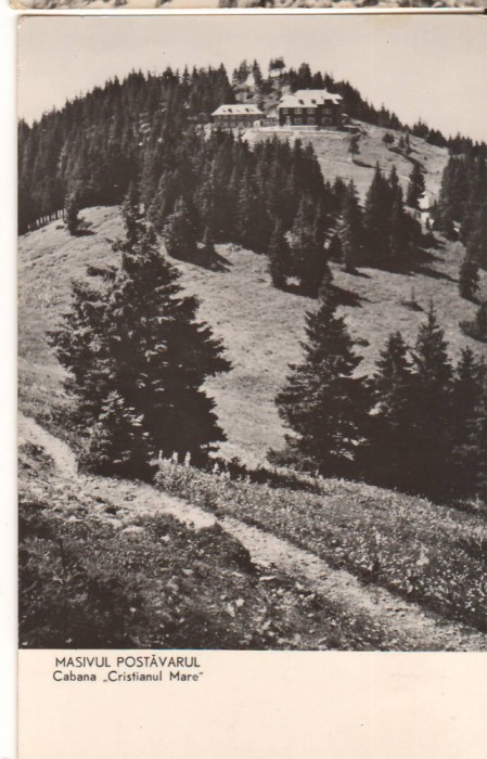 CPIB 22697 - CARTE POSTALA - MASIVUL POSTAVARUL. CABANA &quot;CRISTIANUL MAREZ&quot;, RPR