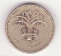 Marea Britanie 1 Pound 1985 - Elizabeth II 3rd portrait; Welsh Leek