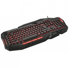 Tastatura Gaming Trust GXT 285, iluminata foto