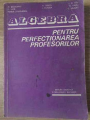 ALGEBRA PENTRU PERFECTIONAREA PROFESORILOR-M. BECHEANU, C. NITA, MIRELA STEFANESCU, A. DINCA, I. PURDEA, I.D. IO foto