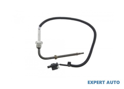 Senzor temperatura gaze dpf Smart Cabrio (2000-2004) [450] #1 foto