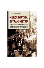 Munca fortata in Transnistria. ?Organizarea muncii&amp;quot; evreilor si romilor, decembrie 1942 - martie 1944. foto