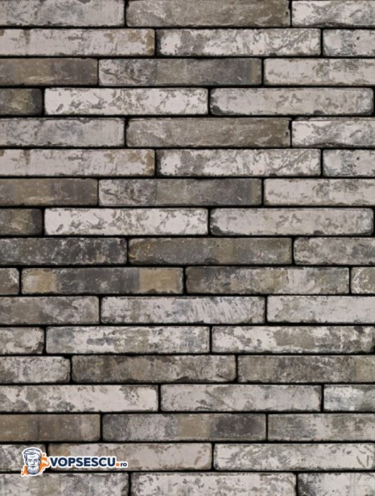 Coltar klinker Terca Metropolis Vesta Zwart, 24x4x2.3 cm