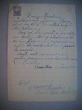 HOPCT DOCUMENT VECHI NR 490 IURESCU ELVIRA-EVREU-SCOALA NR 3 FETE BOTOSANI 1949