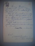 HOPCT DOCUMENT VECHI NR 490 IURESCU ELVIRA-EVREU-SCOALA NR 3 FETE BOTOSANI 1949, Romania 1900 - 1950, Documente