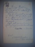 HOPCT DOCUMENT VECHI NR 490 IURESCU ELVIRA-EVREU-SCOALA NR 3 FETE BOTOSANI 1949