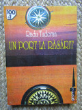 UN PORT LA RASARIT- RADU TUDORAN