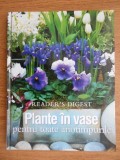 Plante &icirc;n vase pentru toate anotimpurile