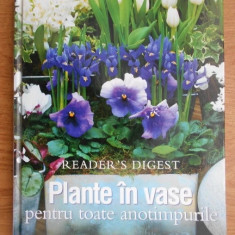 Plante în vase pentru toate anotimpurile