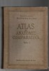 Atlas de anatomie comparativa v. I - V. Ghetie/I. Riga -Ed. Agro-Silvica de Stat