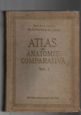 Atlas de anatomie comparativa v. I - V. Ghetie/I. Riga -Ed. Agro-Silvica de Stat