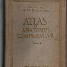 Atlas de anatomie comparativa v. I - V. Ghetie/I. Riga -Ed. Agro-Silvica de Stat