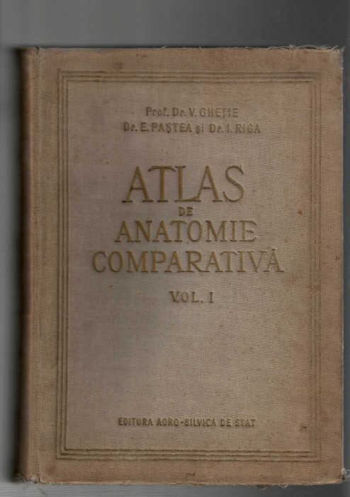 Atlas de anatomie comparativa v. I - V. Ghetie/I. Riga -Ed. Agro-Silvica de Stat
