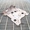 Suport baterie NISSAN QASHQAI II J11, J11_ 2017 3236864