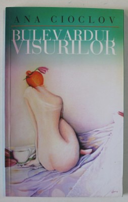 BULEVARDUL VISURILOR de ANA CIOCLOV , 2011 foto