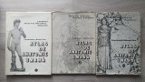 Cumpara ieftin ATLAS DE ANATOMIE UMANA - Mircea Ifrim (3 volume)