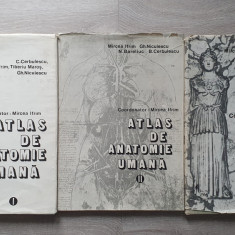 ATLAS DE ANATOMIE UMANA - Mircea Ifrim (3 volume)