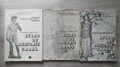 ATLAS DE ANATOMIE UMANA - Mircea Ifrim (3 volume) foto