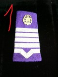 C2 29 - Grade militare - maistru militar logistica - piesa de colectie!