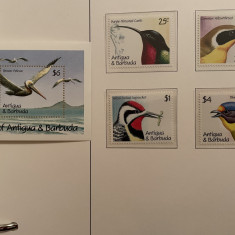 Antigua - Serie timbre pasari, fauna nestampilate MNH