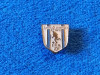 Insigna (veche) fotbal - Federatia de Fotbal din ISRAEL