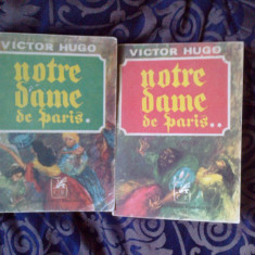 w1 Victor Hugo - Notre-Dame de Paris (2 vol)