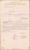 HST A868 Numire judecător Deva 1919 semnat olograf Alexandru Marta